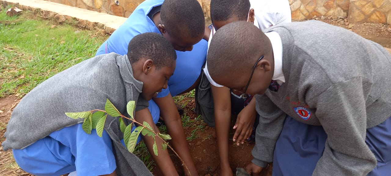Children planting fruit trees